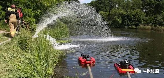 波兰奥得河水系再次发现死鱼-ichn.eu | 人在欧洲