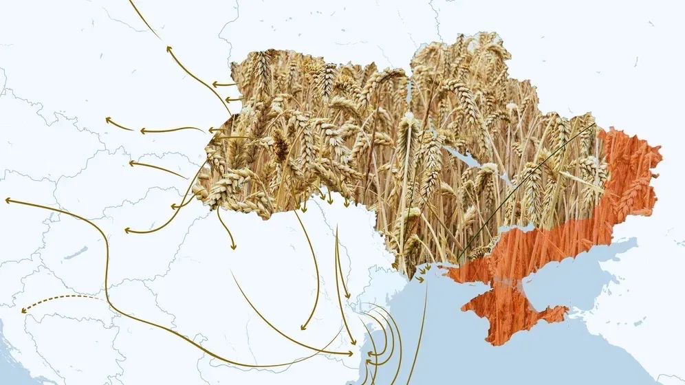 【粮食】乌克兰想尽办法运出粮食,收效甚微,俄方希望减少制裁方可重启粮食协议-ichn.eu | 人在欧洲