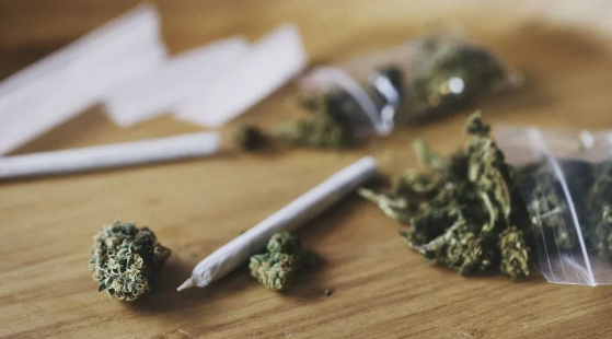 担忧！德国决定4月1日起实施大麻合法化！我们该如何保护自己？-ichn.eu | 人在欧洲