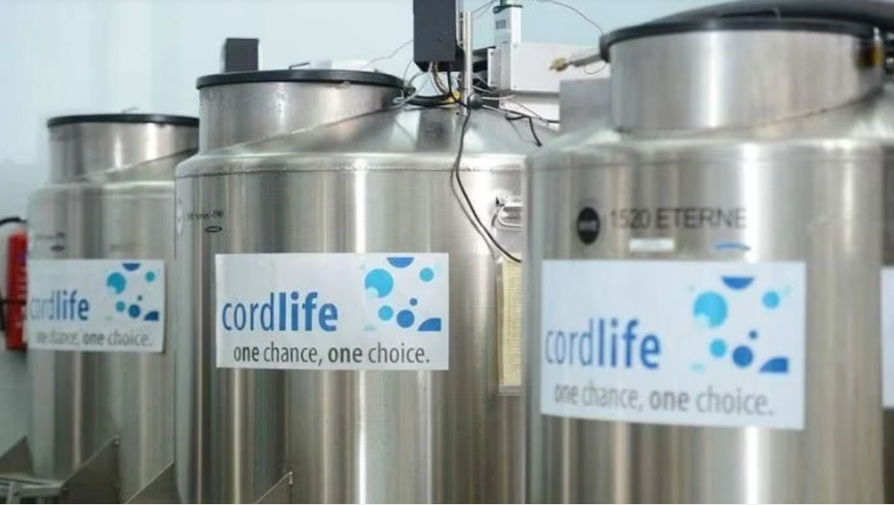 “脐带血存储问题？股东展开行动！”-ichn.eu | 人在欧洲