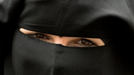 汉堡学校明令禁止佩戴面纱-ichn.eu | 人在欧洲