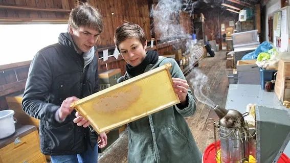 德国最好的工程师通常出自这些高校-ichn.eu | 人在欧洲