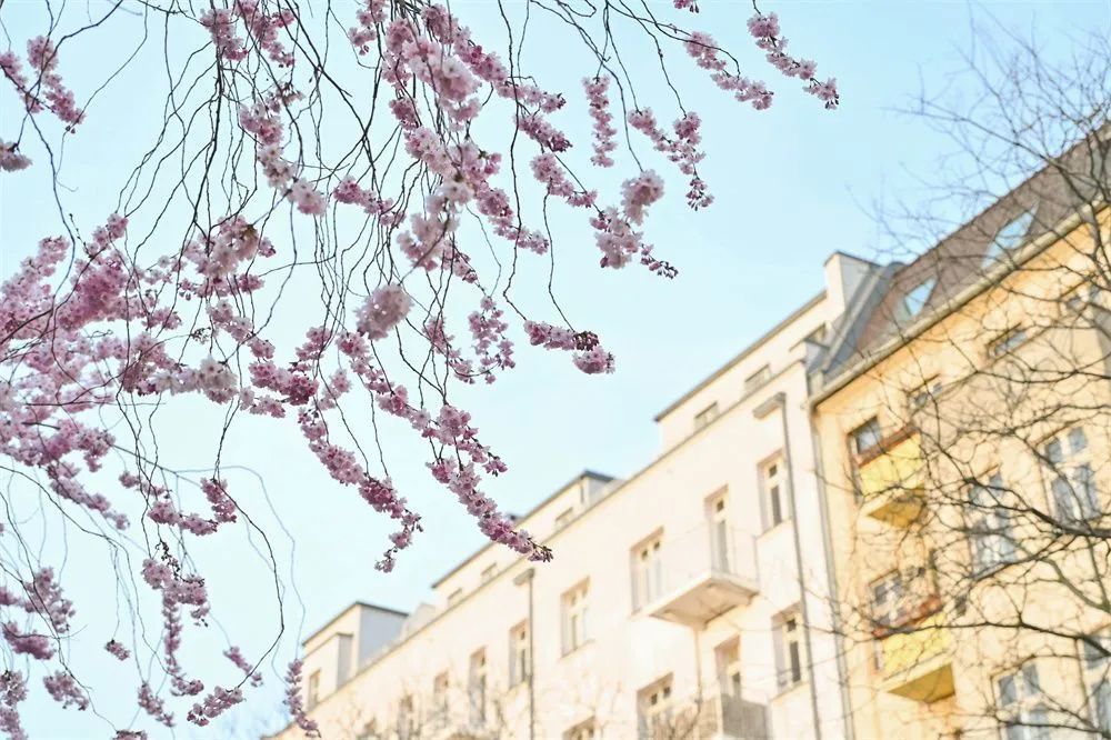 柏林人怒了！租金一年飙升近30%，大规模 抗议要求-ichn.eu | 人在欧洲