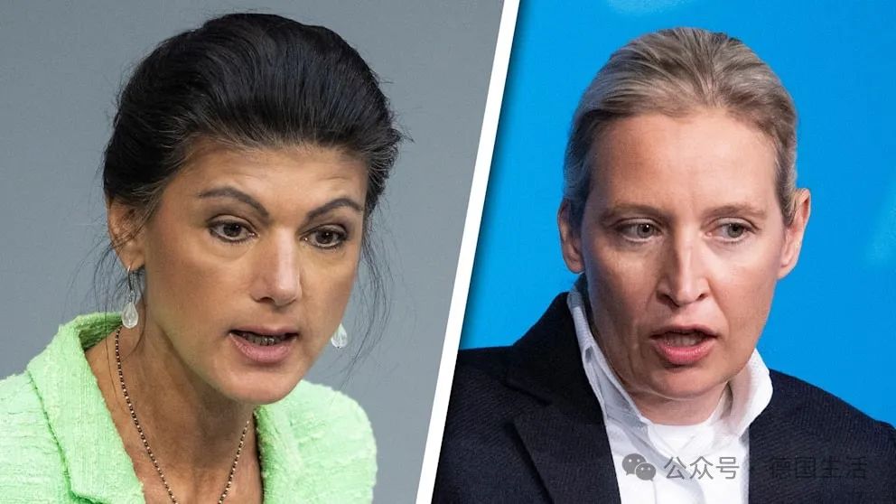 【德国】AfD与BSW在东部州有望联手,目标是恢复-ichn.eu | 人在欧洲