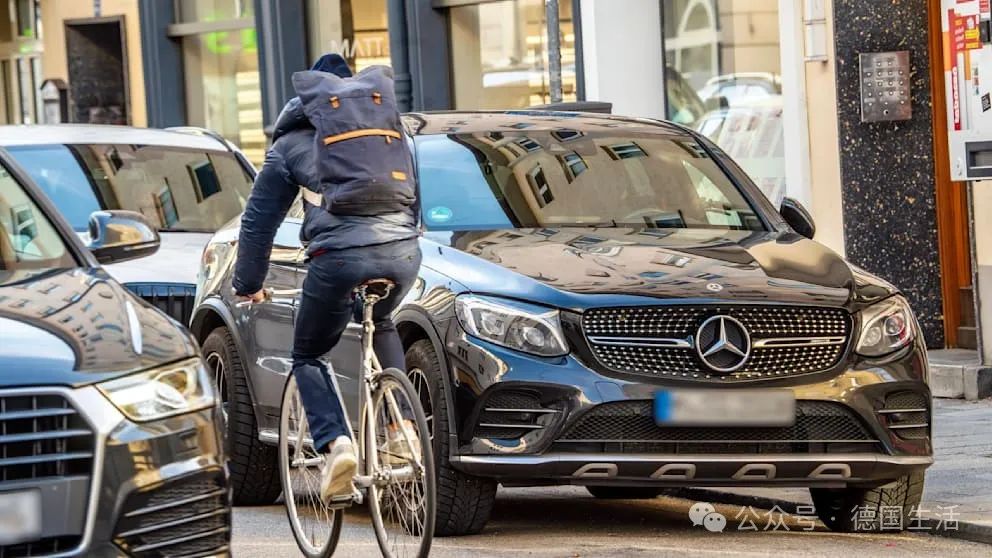 忍无可忍！德国自民党公开指责绿党的“意识形态治国”-ichn.eu | 人在欧洲