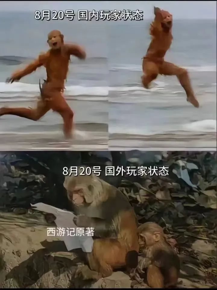 横扫全球！国产之光《黑神话：悟空》登顶全球榜单，顶-ichn.eu | 人在欧洲