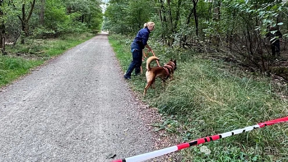 【不幸】黑森州一名女性在森林慢跑时被刺三刀，伤重身-ichn.eu | 人在欧洲