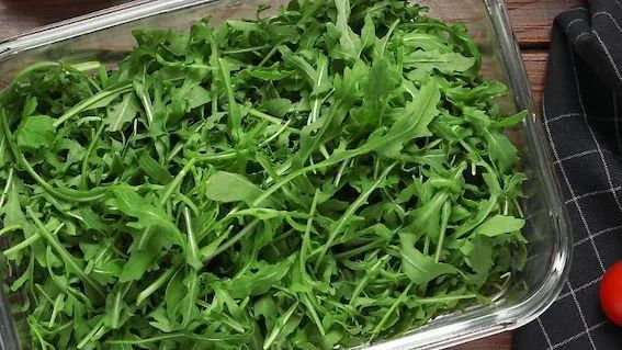 一种沙门氏细菌感染的疾病在德国显著增加-ichn.eu | 人在欧洲