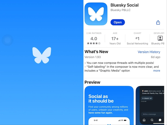 用户背离X涌入Bluesky，致其数度瘫痪-ichn.eu | 人在欧洲