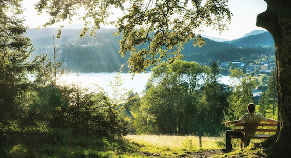 为应对极端气候带来的危险,部分地区正在拆除森林中的-ichn.eu | 人在欧洲