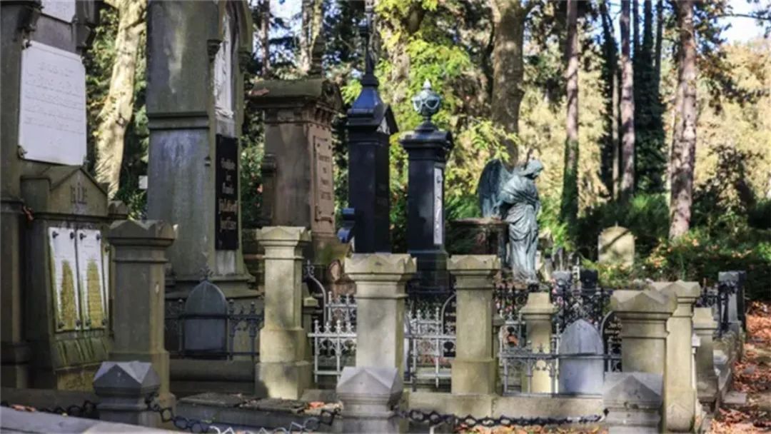 人口老龄化助推德国殡葬业！殡葬行业学员人数激增，其-ichn.eu | 人在欧洲