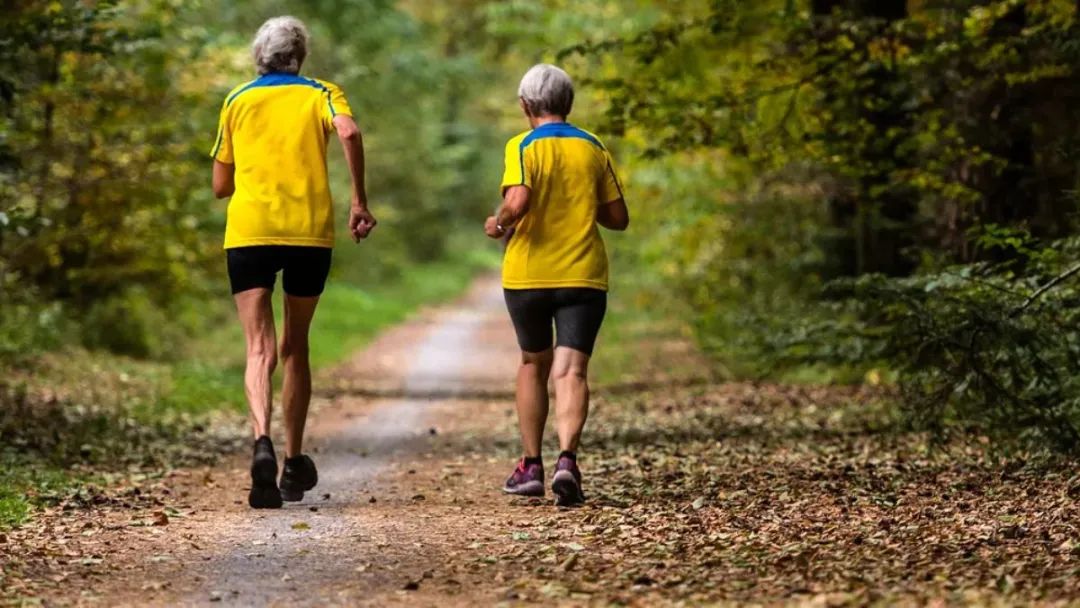 德国预期寿命首次低于欧盟平均水平，德国人真的活得短-ichn.eu | 人在欧洲