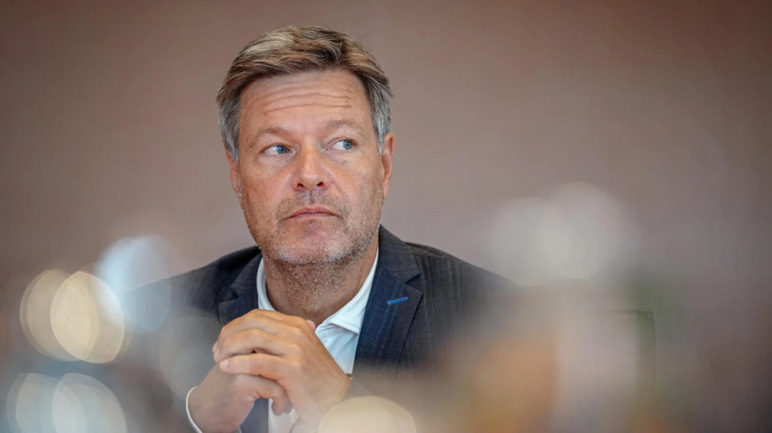 讽刺| 德国副总理在厨房录视频宣布参选，对手笑了-ichn.eu | 人在欧洲