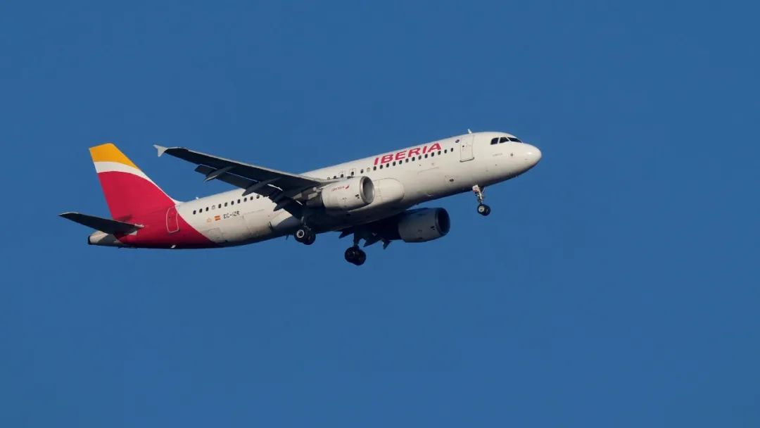 杜塞一航班突发意外：狼蛛潜入驾驶舱，还咬伤机长引发-ichn.eu | 人在欧洲