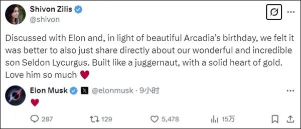 再得一子！马斯克第14个孩子出生-ichn.eu | 人在欧洲