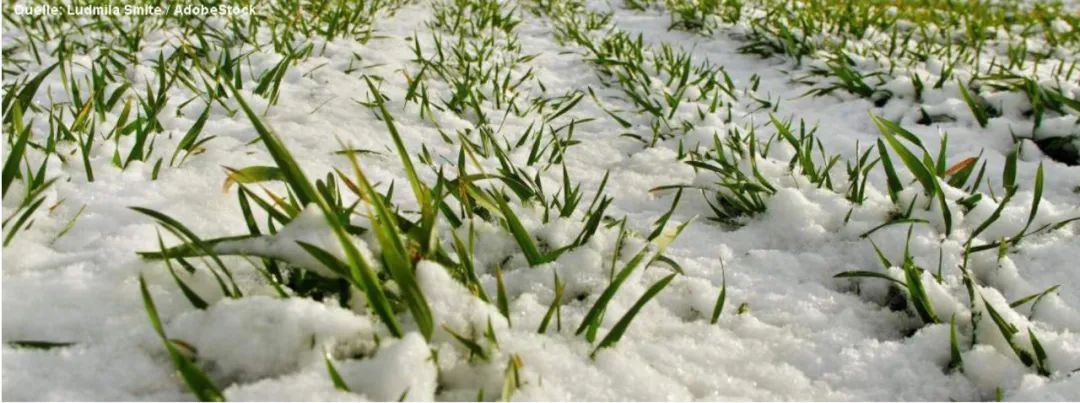 周末德国气温冲上20°C后骤降，下周迎来降雪！-ichn.eu | 人在欧洲