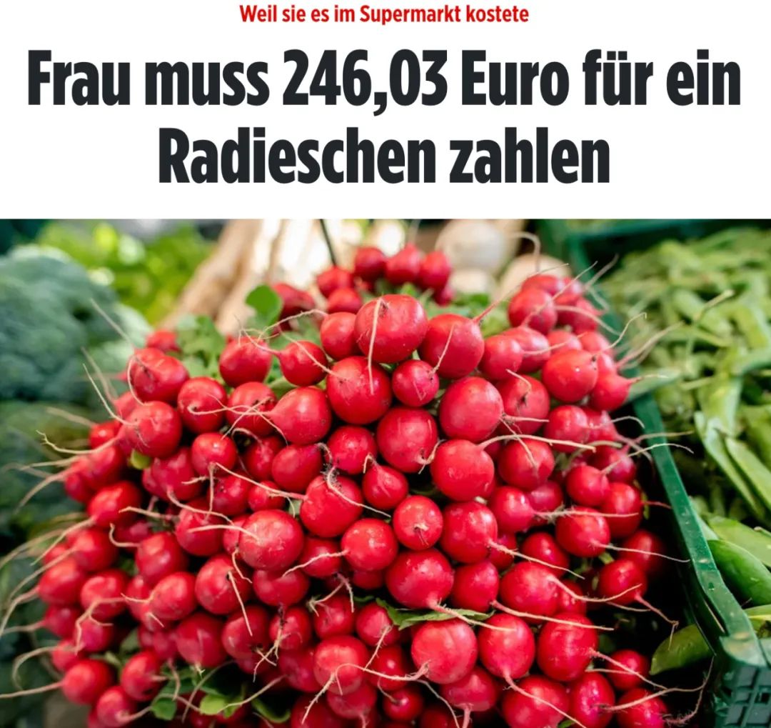 女子因吃一颗小萝卜被罚246.03欧元-ichn.eu | 人在欧洲