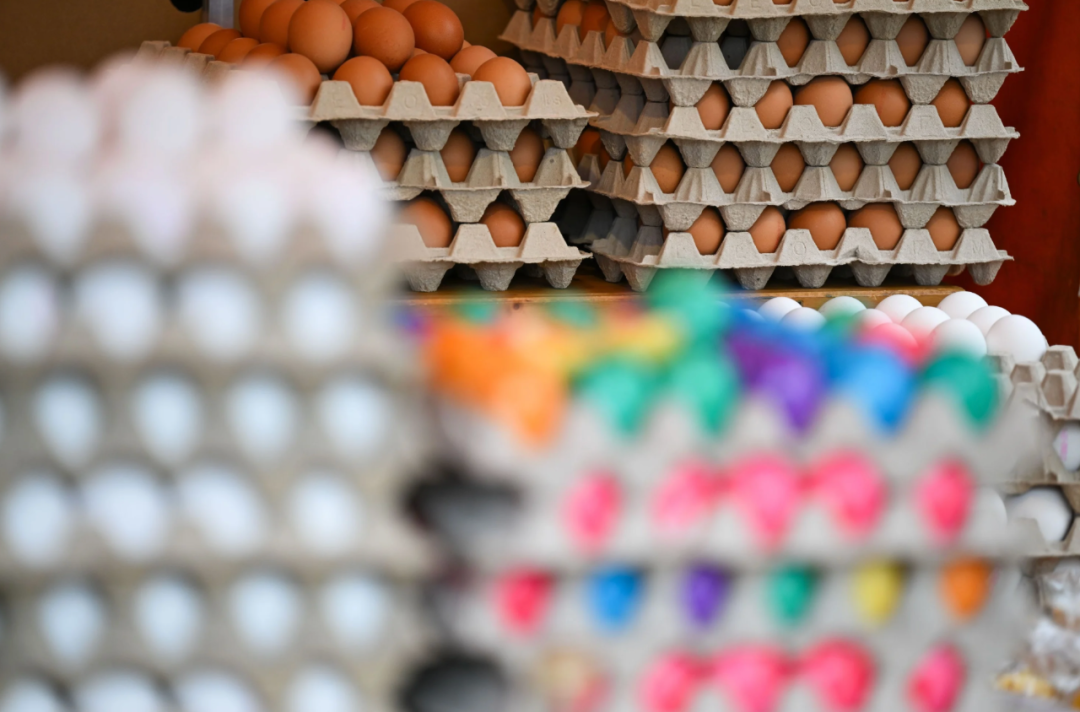 德国本土鸡蛋也不多，美国向德国求购鸡蛋？-ichn.eu | 人在欧洲