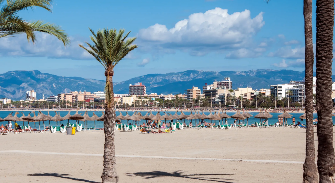 马略卡岛惊现多具非法移民尸体！-ichn.eu | 人在欧洲