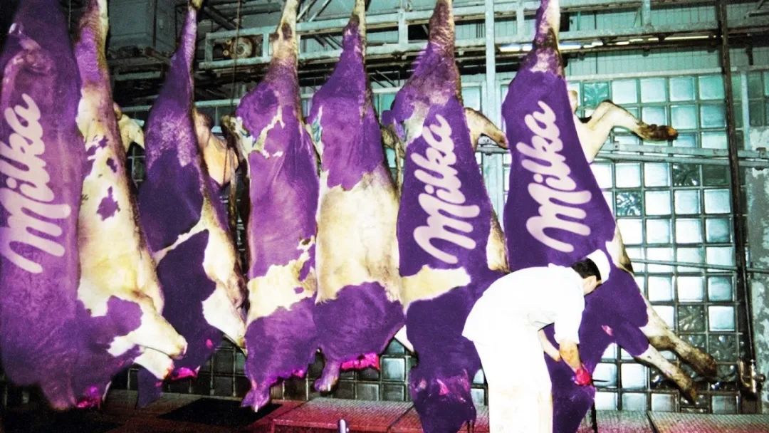 紫色牛肉来袭？！巧克力卖不动了？德国的Milka竟-ichn.eu | 人在欧洲