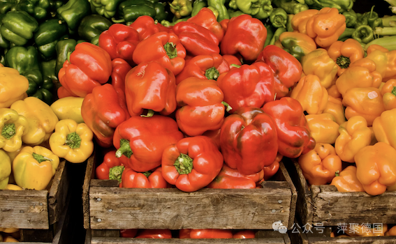 辣椒价格飞涨！其实整个食品市场价格都在上涨……-ichn.eu | 人在欧洲