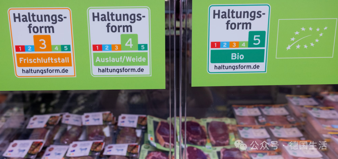 Aldi Süd 肉柜大改革!不按动物种类分类而是-ichn.eu | 人在欧洲