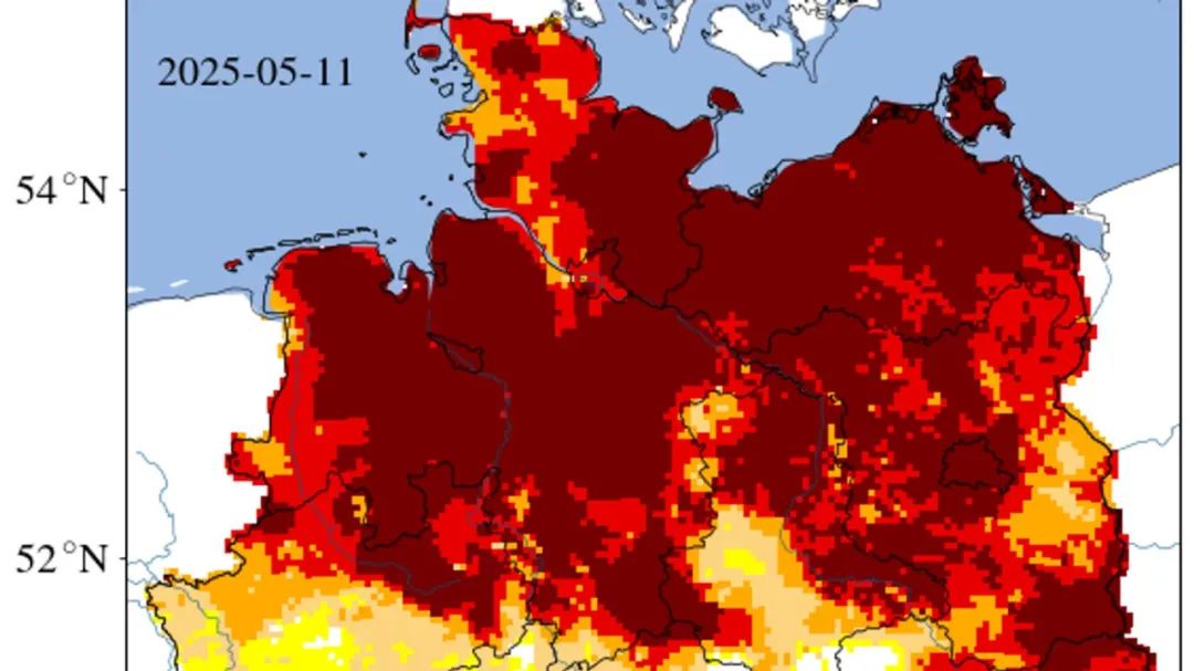 德国全境遭遇罕见干旱，专家提醒：森林火灾风险极高-ichn.eu | 人在欧洲