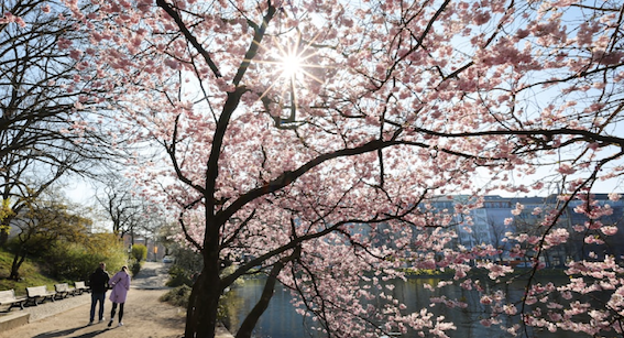 欧洲今年春天北旱南涝-ichn.eu | 人在欧洲