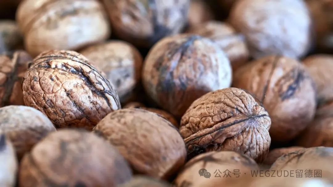 荒唐！汉堡盗贼团伙偷走15吨核桃，竟然试图卖回给失-ichn.eu | 人在欧洲