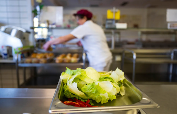 家长针对校园素食餐食的诉讼最终失败-ichn.eu | 人在欧洲