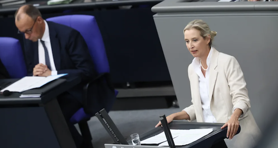 德国选择党民调跌至数月来最差水平，联盟党支持率上升-ichn.eu | 人在欧洲