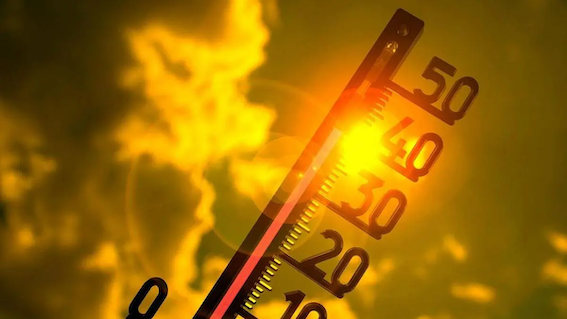 本周将会迎来短暂高温天气：最高36°C！-ichn.eu | 人在欧洲