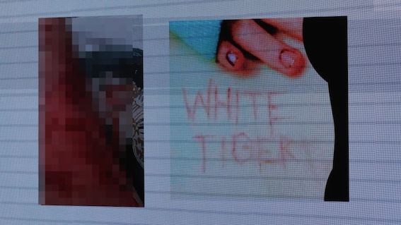 汉堡一名男士涉嫌网络谋杀，已经被捕-ichn.eu | 人在欧洲