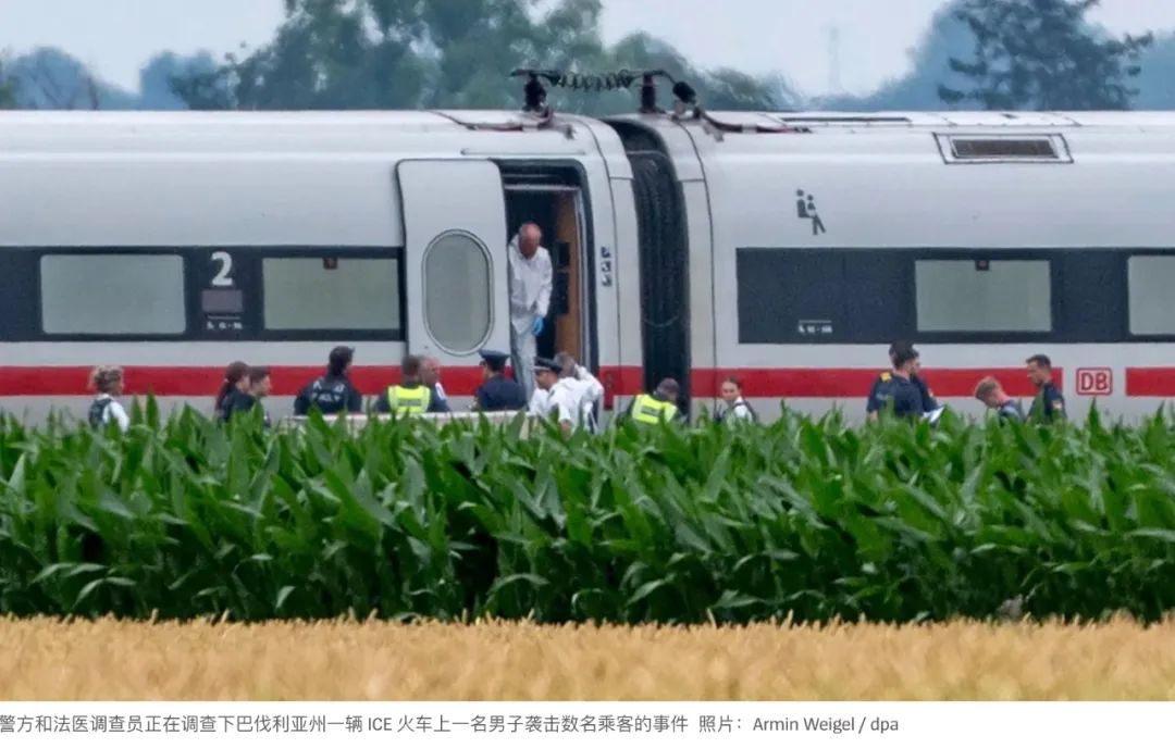 多人受伤！男子手持斧头砍伤的高铁ICE上乘客！-ichn.eu | 人在欧洲