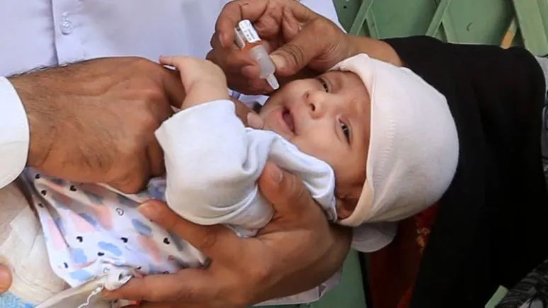 德国多城污水检出可怕病毒！感染严重者可致终身残疾！-ichn.eu | 人在欧洲