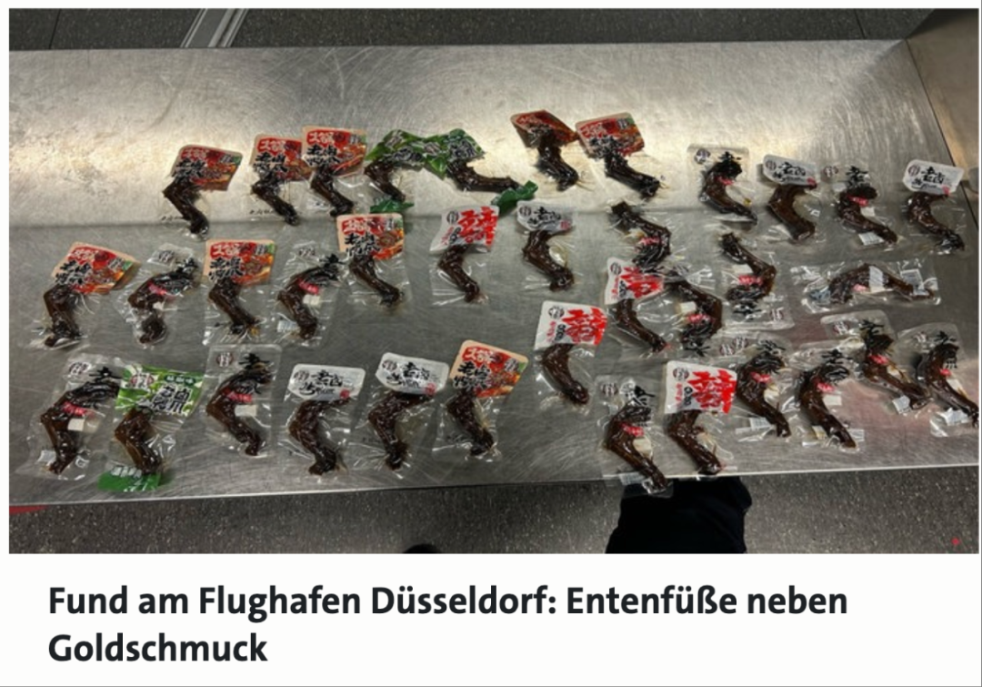 中国女子入境德国被查!行李箱藏36只真空鸭爪及57-ichn.eu | 人在欧洲