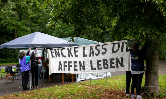 动物园里的常见的震撼故事-ichn.eu | 人在欧洲