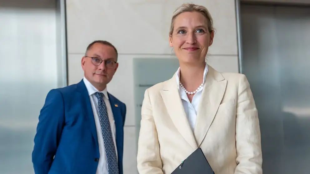 德国总理默茨上任百日民调下滑，极右翼政党AfD支持-ichn.eu | 人在欧洲