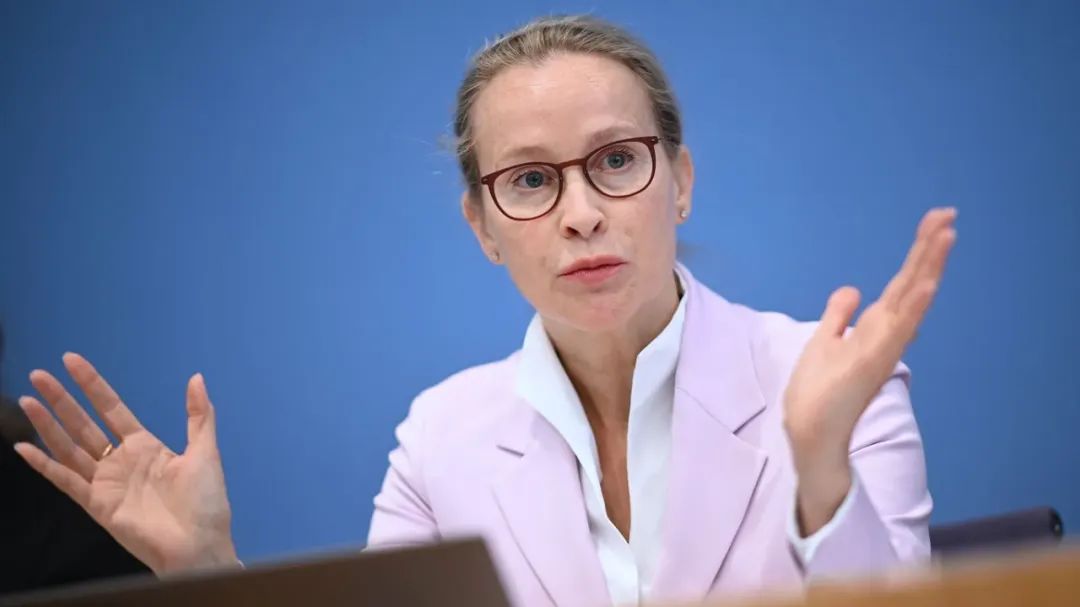 德国联邦宪法法官候选人卷入“代笔门”，汉堡大学正式-ichn.eu | 人在欧洲